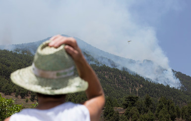 40-градусная жара в Испании спровоцировала лесные пожары
