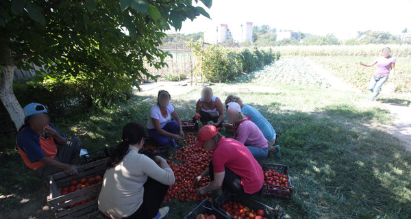 В Мукачево воспитанников детдома заставляют бесплатно работать и отбирают пенсии