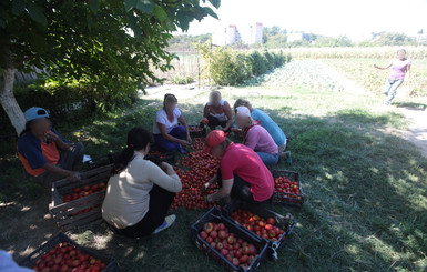В Мукачево воспитанников детдома заставляют бесплатно работать и отбирают пенсии