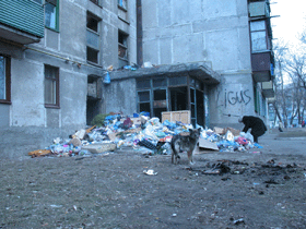 Многоэтажку завалило мусором 