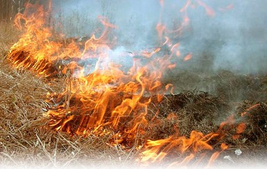 В Мелитополе загоревшаяся трава едва не привела к взрыву