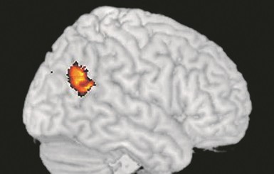 В мозге обнаружен участок, отвечающий за связь с потусторонним миром