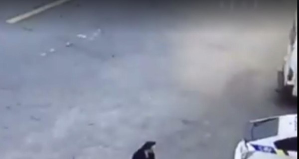 Появилось видео с места убийства патрульного в Днепре
