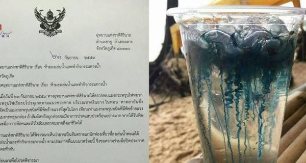 В Таиланде из-за нашествия ядовитых существ закрывают пляжи