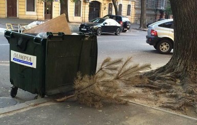 В Одессе выбросили елку за три месяца до Нового года