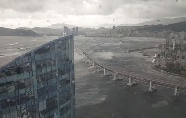 В Южной Корее тайфун Чаба унес жизни семерых людей