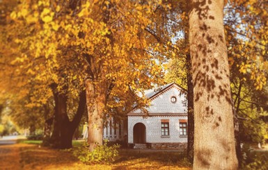 Киевляне делятся снимками в сети осеннего Киева