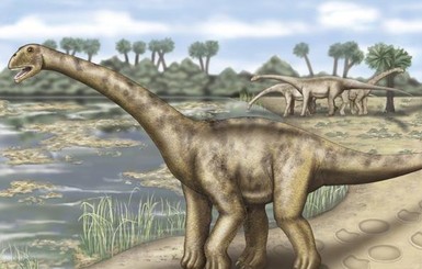 Ученые: в Центральной Азии жили гигантские титанозавры  
