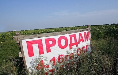 Крестьяне готовы продавать украинскую землю по 5 тысяч долларов за гектар