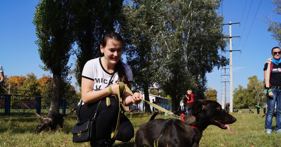 Команда студентов Enactus ХНЕУ провели фестиваль заботы о домашних и беспризорных животных