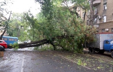 Еще один человек умер от шторма в Одессе
