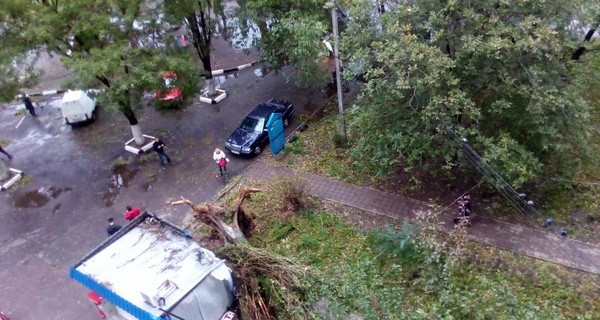 В Днепре ураганный ветер валит деревья и обрывает провода