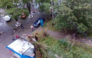 В Днепре ураганный ветер валит деревья и обрывает провода