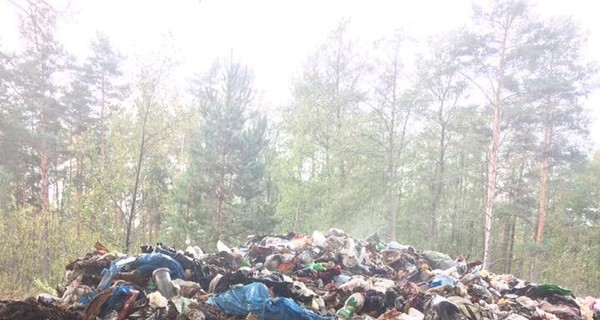 Волонтер: в лесу на Волыни нашли львовский мусор
