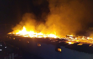 Из-за пожара на киевской ферме погибли семь тысяч кур