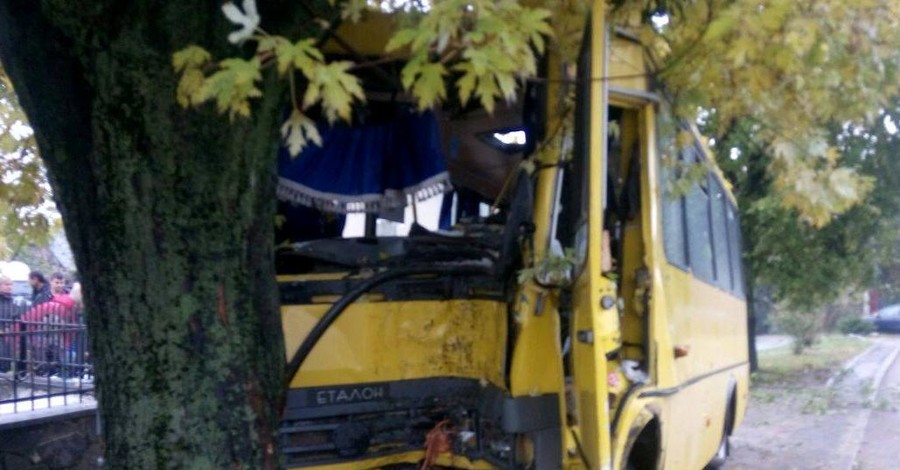 Во Львове маршрутка врезалась в дерево, пострадали 15 человек