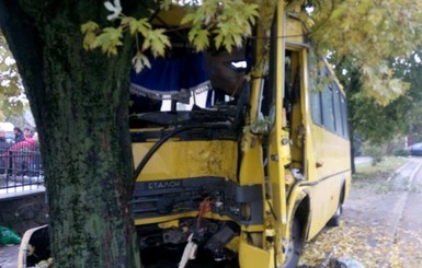 Во Львове маршрутка врезалась в дерево, пострадали 15 человек