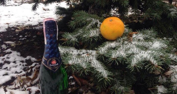 Киевляне встретили ноябрьский снегопад с шампанским и апельсинами