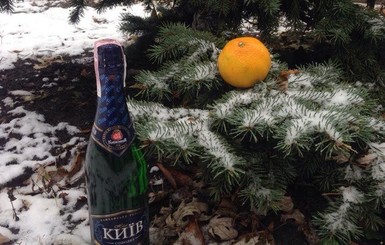 Киевляне встретили ноябрьский снегопад с шампанским и апельсинами