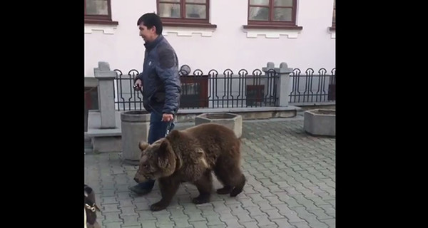 В центре российского города мужчина выгулял медведя