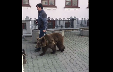 В центре российского города мужчина выгулял медведя