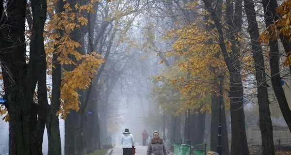 Завтра, 4 ноября, в Украине потеплеет