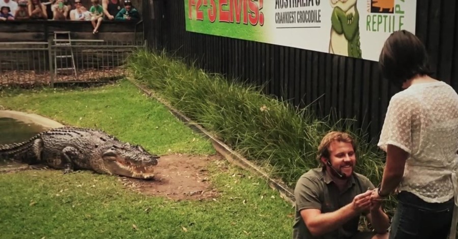 Австралиец сделал предложение девушке в вольере для крокодилов