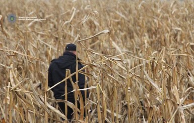 Ровенские полицейские задержали похитителей элитных авто посреди кукурузного поля