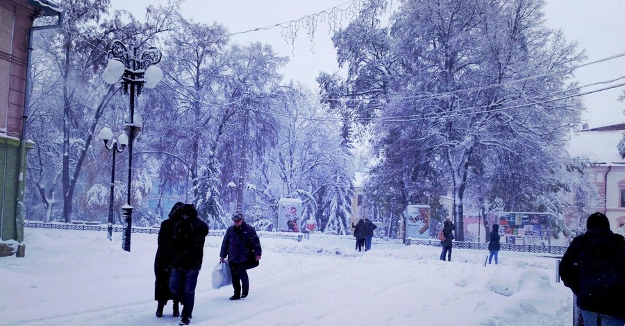 На Прикарпатье из-за метели закрыли школы, садики и вузы