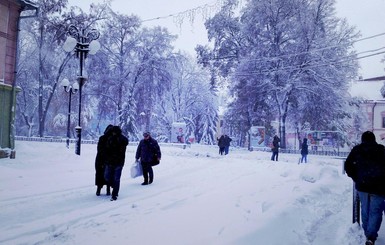 На Прикарпатье из-за метели закрыли школы, садики и вузы