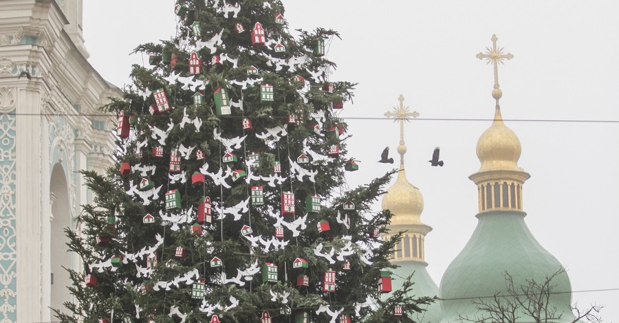На Софийской площади в Киеве установят елку-рекордсменку