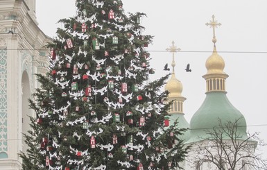 На Софийской площади в Киеве установят елку-рекордсменку