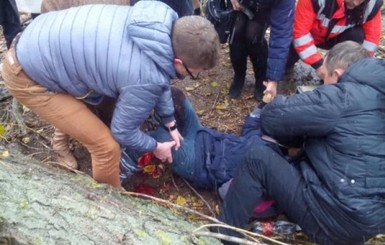 В Ужгороде ребенка привалило упавшим деревом