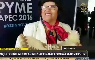 В Перу арестовали женщину, которая хотела подарить Путину свитер