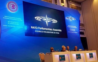 На заседании парламентской ассамблеи НАТО Россию признали агрессором