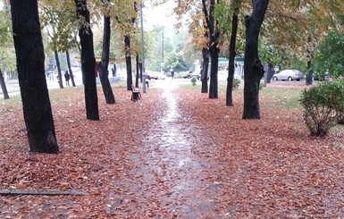 В понедельник днем, 21 ноября, без осадков