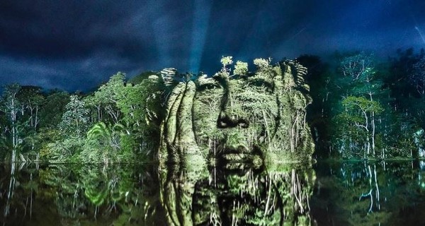 Фотограф создает гигантские портреты на деревьях с помощью света