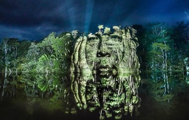 Фотограф создает гигантские портреты на деревьях с помощью света