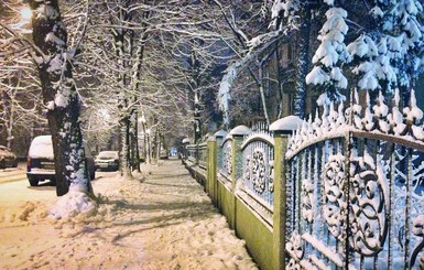 Киев и Львов замело первым зимним снегом