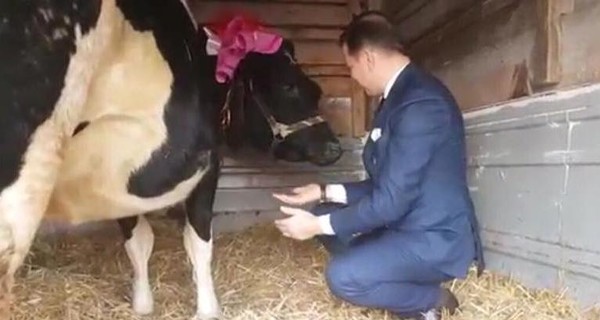 Олегу Ляшко на День рождения подарили корову