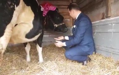 Олегу Ляшко на День рождения подарили корову