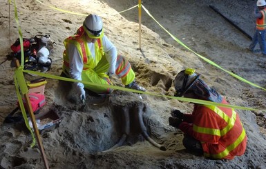 В Лос-Анджелесе под метро нашли кости мастодонтов