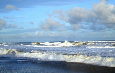 В Бенгальском заливе обнаружена огромная мертвая зона
