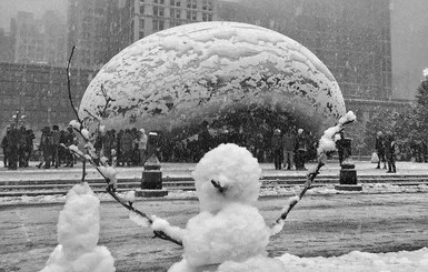В Чикаго выпало рекордное количество снега за последние 130 лет: фото