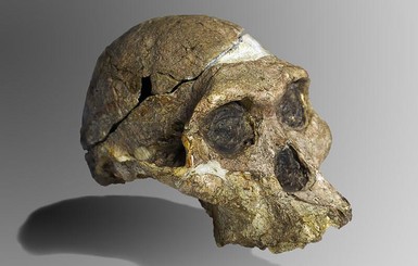 В Танзании найден самый большой древний человек
