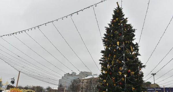 В День Святого Николая в Киеве зажгут главную елку страны