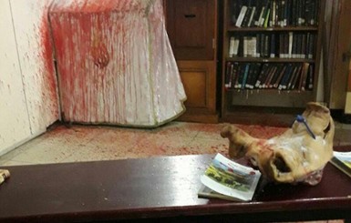 Осквернение синагоги в Умани: выходка националистов или провокация хасидов?