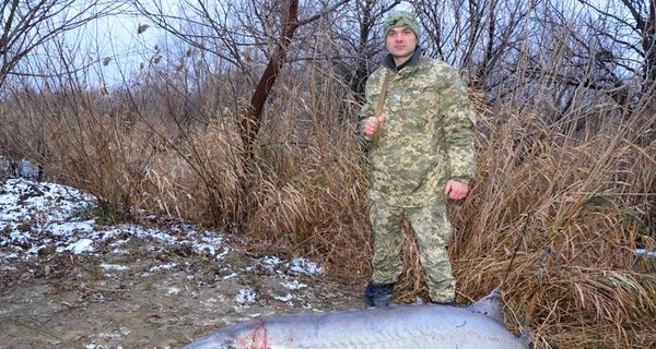 В Одесской области убили двухметровую белугу, занесенную в Красную книгу