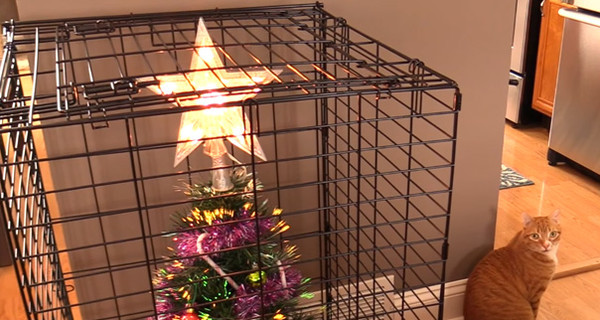 Как уберечь новогоднюю елку от проказника кота: фото