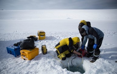 Ученые показали подводный мир Антарктиды
